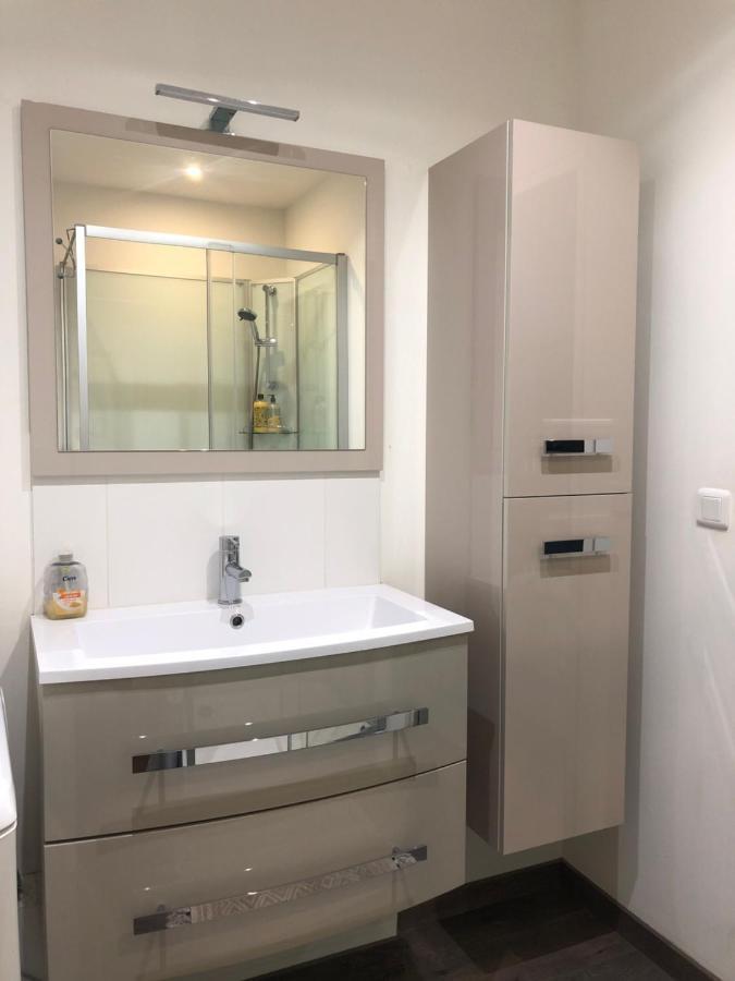 Grand Studio Meythet Экстерьер фото